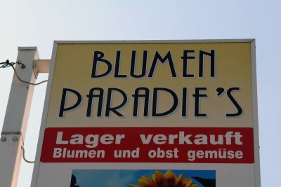 Blumen-Paradies